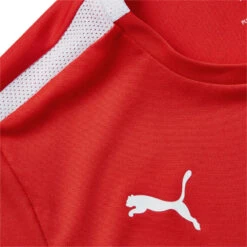 Maillot Enfant Puma Team Liga 7 Maillot Enfant Puma Team Liga -Puma Soldes Boutique maillot enfant puma team liga 2