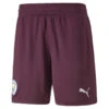 Short De Gardien Manchester City F.C. 22/23 Replica Homme PUMA