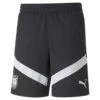 Short D’entraînement De Foot Autriche Homme PUMA
