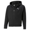 Sweatshirt à Capuche Full Zip Fille Puma Modern Sports G