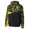 Puma Sweatshirt Borussia Dortmund 2022/23