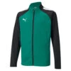 Veste Enfant Puma Team Liga Training